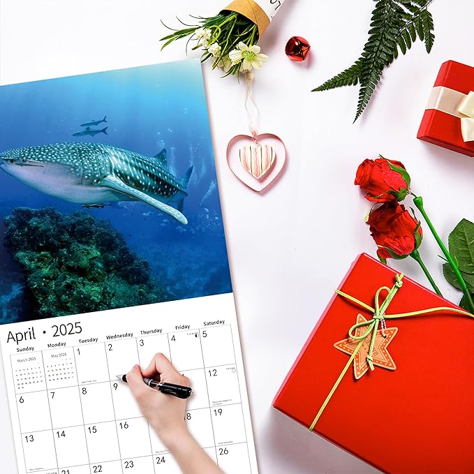 2025 Wall Calendar,Calendar 2025, January 2025 - December 2025, Wall Calendar Shark, 12" x 24" Opened,Full Page Months Thick & Sturdy Paper for Gift Perfect Calendar Organizing & Planning