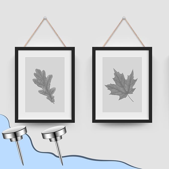 30 Pieces Push Pins, Metal Thumb Tacks for Picture Photo Hanging, Wall Pins for Board Posters Bulletin Maps, Wall Tack for Office Home Decorative