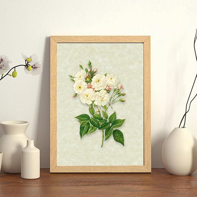 120 Sheets Parchment Paper for Certificates, 8.5" x 11", 100 GSM Double-Sided Stationery Paper for Resumes & Diplomas, Printer-Friendly (Ivory)