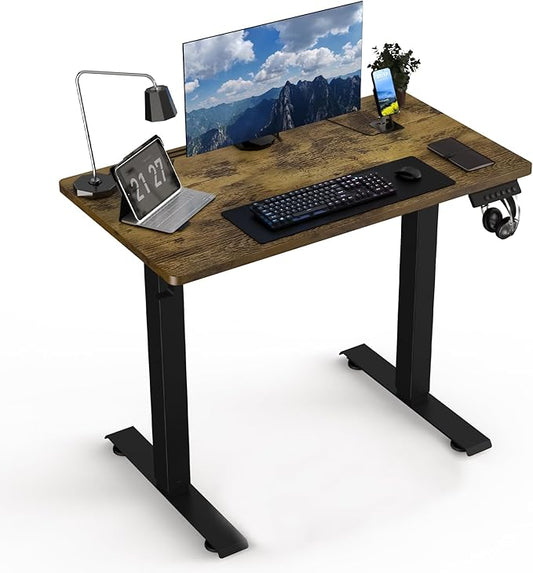 35 * 20 Electric Standing Desk, Adjustable Height Sit Stand Up Desk, Motorized Home Office Computer Gaming Workstation Desk