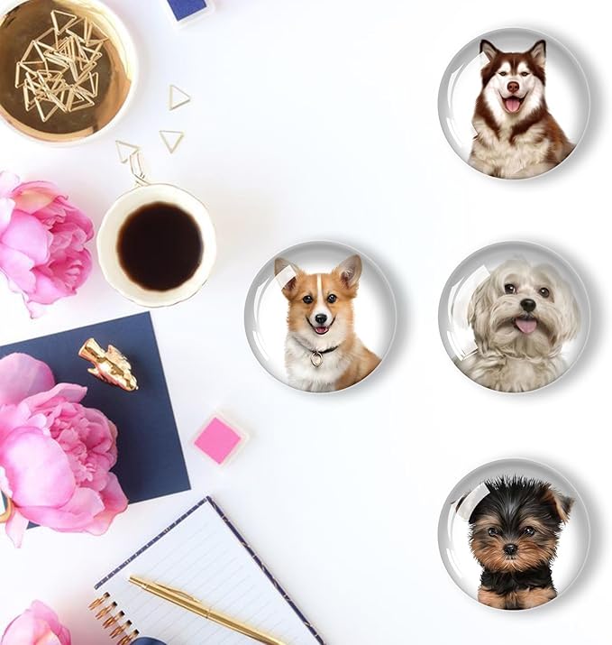 12Pcs Glass Refrigerator Magnet Fridge Sticker,Dog Fridge Magnets Decoration for Crafts,Strong Fridge Magnets for Kitchen, School,Office Whiteboard, Cabinet and Dishwasher