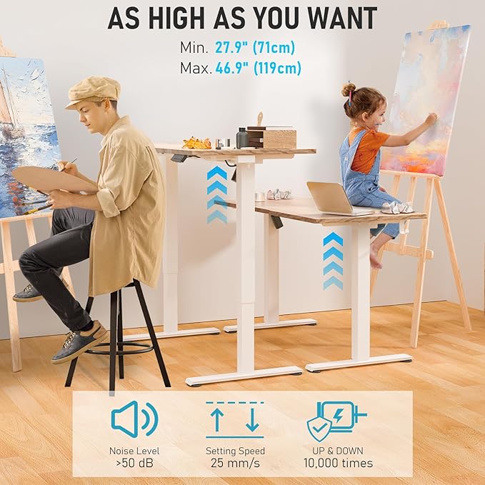 48 * 24 Electric Standing Desk, Adjustable Height Sit Stand Up Desk, Motorized Home Office Computer Gaming Workstation Desk