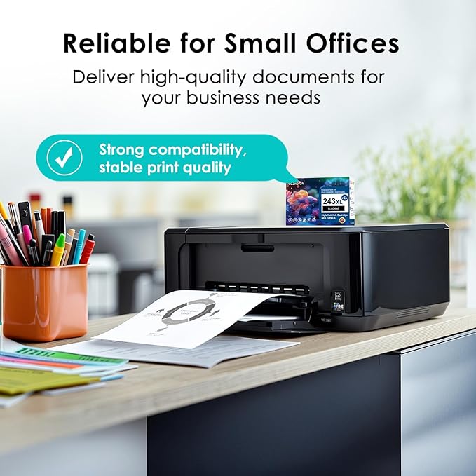 243XL Black Compatible Ink Cartridge Replacement for Canon 243 243XL PG-243 PG 243 XL Black Ink Cartridges for TR4520 TR4522 MG2522 MX490 MX492 TS3320 TS3120 TS202 MG2922 Printer (2-Pack)