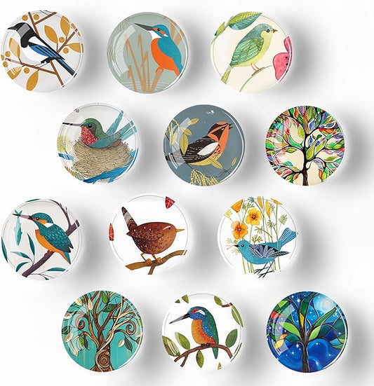 12Pcs Glass Refrigerator Magnet Fridge Sticker,Bird Fridge Magnets Decoration for Crafts,Strong Fridge Magnets for Kitchen, School,Office Whiteboard, Cabinet and Dishwasher