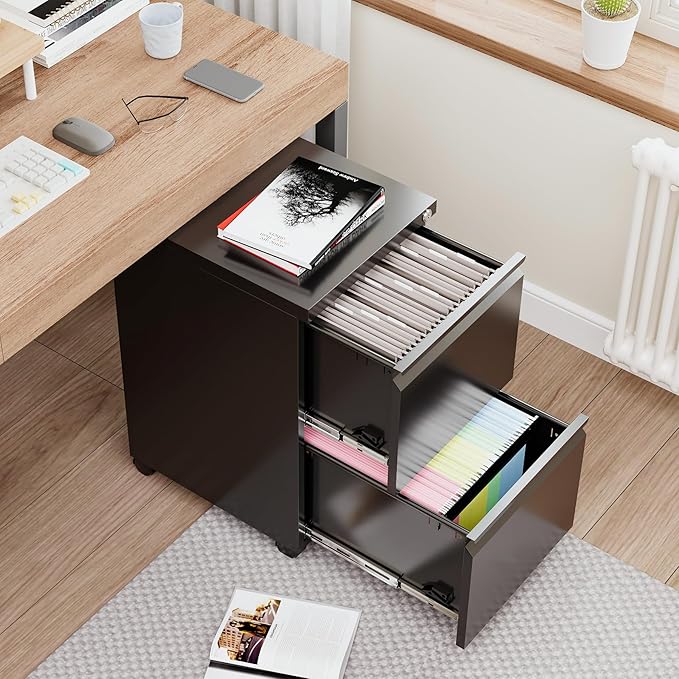 2 Drawers File Cabinet with Lock Metal Vertical File Cabient with Wheels Mobile File Cabinet for Office Home Legal/Letter/a4 Size Fully Assembled