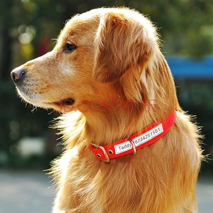 10 Pack Label Maker Tape Replacement for TZe-231 TZe231 Laminated White P Touch Label Tape, 12mm x 8m, Black on White, Compatible with Brother P Touch Label Maker PTD210 PT-H110 PT-D400